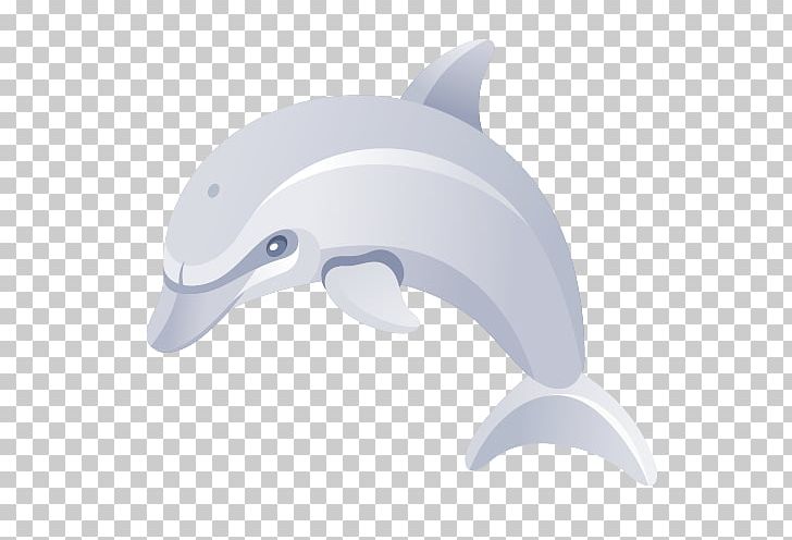 Common Bottlenose Dolphin Short-beaked Common Dolphin Tucuxi Cartoon PNG, Clipart, Animals, Bottlenose Dolphin, Cartoon, Cartoon Character, Cartoon Cloud Free PNG Download