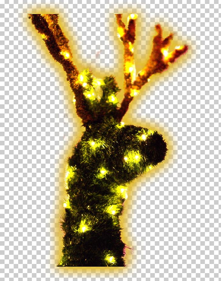 Deer Elk Christmas Decoration PNG, Clipart, Animals, Christmas, Christmas, Christmas Border, Christmas Decoration Free PNG Download