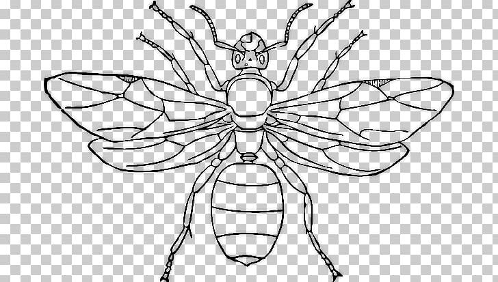 Queen Ant Insect PNG, Clipart, Animal, Animals, Ant, Ants, Arthropod Free PNG Download