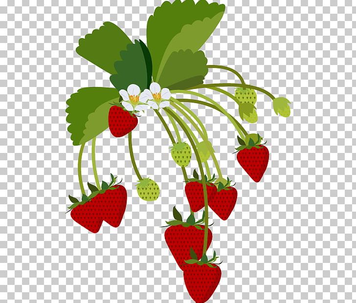 Strawberry Portable Network Graphics Illustration Daifuku PNG, Clipart, Blog, Branch, Cartoon, Daifuku, Food Free PNG Download