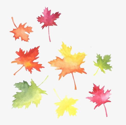 Watercolor Maple Leaves PNG, Clipart, Autumn, Beginning, Cartoon, Colour, Decorate Free PNG Download