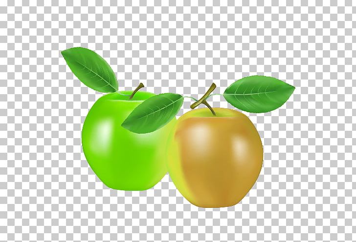 Apple Drawing PNG, Clipart, Animation, Apple, Apple Fruit, Apples Vector, Apple Vector Free PNG Download