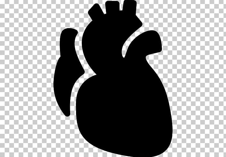 Heart Anatomy Computer Icons PNG, Clipart, Anatomical Terms Of Location, Anatomic Heart, Anatomy, Black, Black And White Free PNG Download