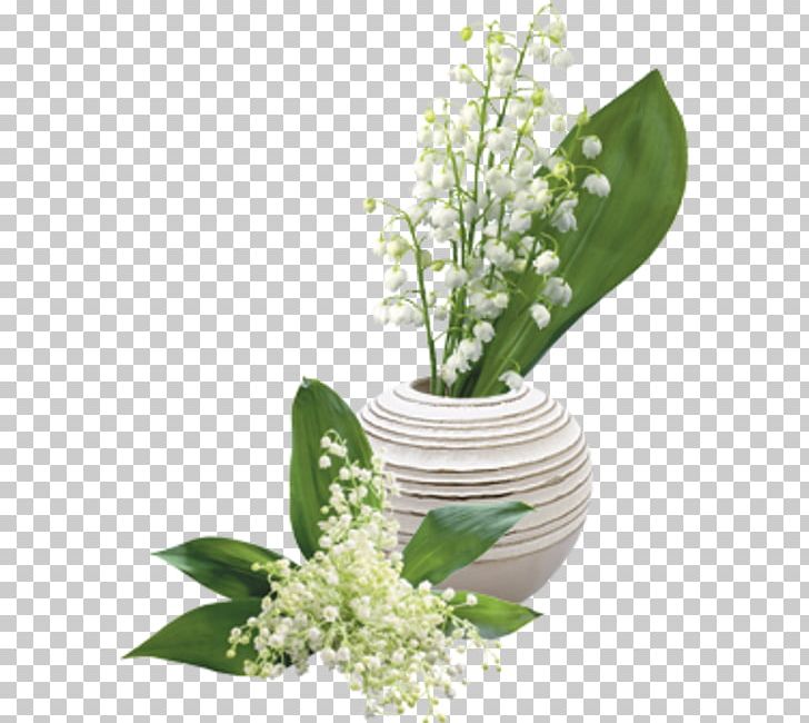 Lily Of The Valley Flower Lilium PNG, Clipart, Cicek, Cut Flowers, Data Compression, Deco, Desktop Wallpaper Free PNG Download