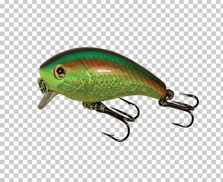 Plug Fishing Baits & Lures Northern Pike PNG, Clipart, Angling, Bait, Bluegill, Fish, Fishery Free PNG Download