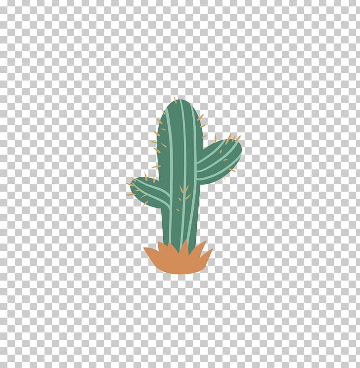 Cactaceae Euclidean PNG, Clipart, Adobe Illustrator, Background Green, Cactaceae, Cactus, Cactus Vector Free PNG Download