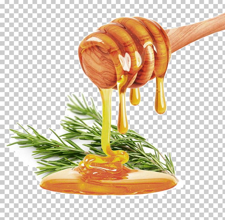 Honey Stock Photography Syrup PNG, Clipart, Food, Food Drinks, Fotolia, Garnish, Honey Free PNG Download