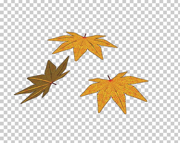 Maple Leaf PNG, Clipart, Guigang, Leaf, Maple, Maple Leaf, Others Free PNG Download