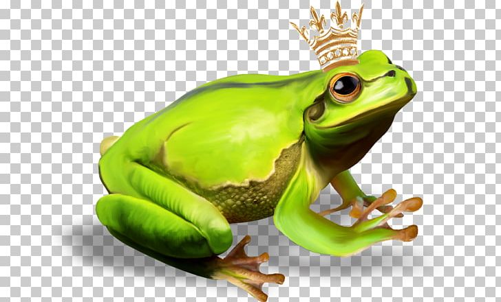 The Frog Prince PNG, Clipart, Amphibian, Animals, Cartoon, Creative, Download Free PNG Download