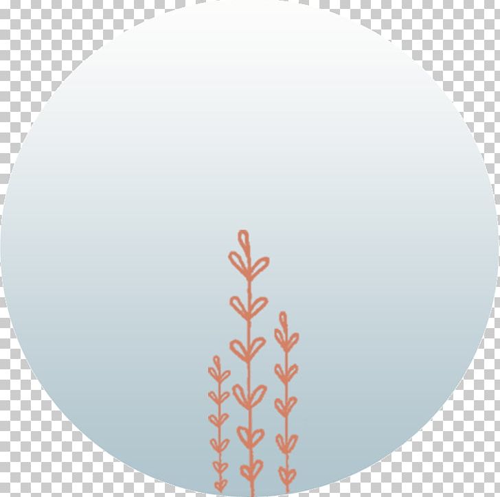 Tree Sky Plc PNG, Clipart, American Simplicity, Nature, Sky, Sky Plc, Tree Free PNG Download