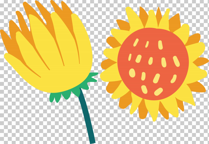 Brazil Elements Brazil Culture PNG, Clipart, Brazil Culture, Brazil Elements, Common Sunflower, Flower, Fruit Tree Free PNG Download