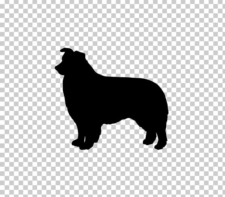 Border Collie Rough Collie Bearded Collie Puppy PNG, Clipart, 5 Cm, American Kennel Club, Animal, Animals, Australian Shepherd Free PNG Download