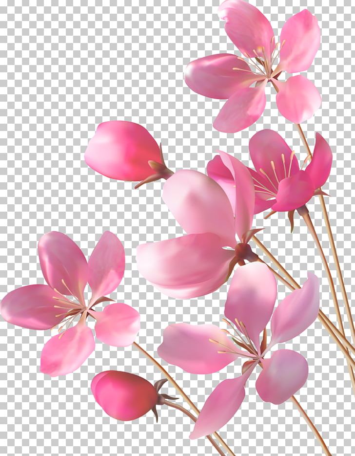 Desktop Pink Flowers PNG, Clipart, Beautiful, Blossom, Branch, Cherry Blossom, Cut Flowers Free PNG Download