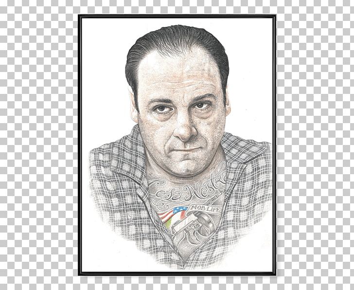 Tony Soprano Illustration Poster United States Internal Link PNG, Clipart, Art, Blanket, Drawing, Face, Forehead Free PNG Download