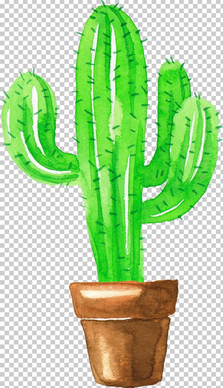 Cactaceae Painting Succulent Plant PNG, Clipart, Art, Ball, Cactus, Caryophyllales, Creative Ads Free PNG Download