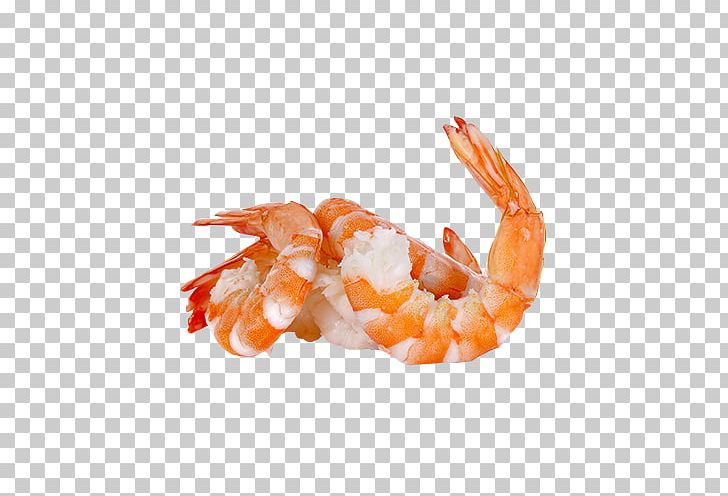 Caridea Prawns Shrimp PNG, Clipart, Animal Source Foods, Caridea, Caridean Shrimp, Decapoda, Dendrobranchiata Free PNG Download