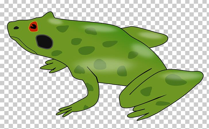 Edible Frog Amphibian PNG, Clipart, American Bullfrog, Amphibian, Animal, Animal Figure, Animals Free PNG Download