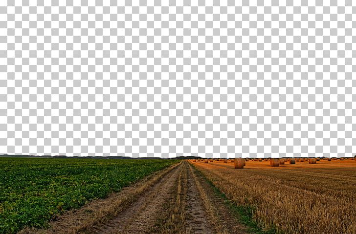 Farm Road Crop Sky PNG, Clipart, Agriculture, Autumn, Creative, Creative Autumn, Crop Free PNG Download