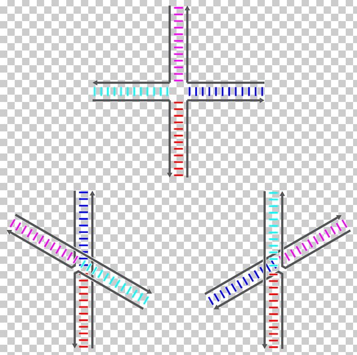 Holliday Junction Nucleic Acid Sequence Genetic Recombination DNA PNG, Clipart, Acid, Angle, Area, Biology, Blue Junction Free PNG Download