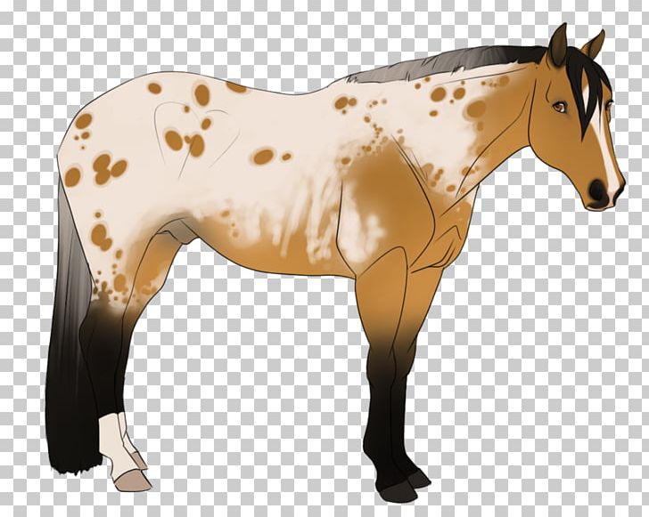 Mustang Mane Mare Foal Stallion PNG, Clipart,  Free PNG Download
