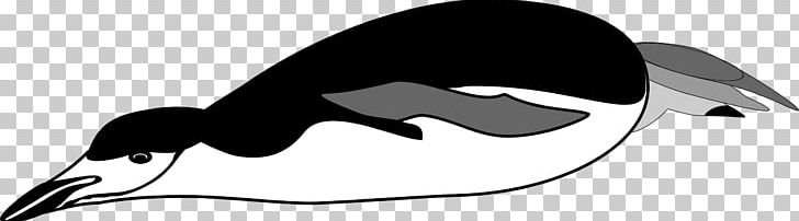 Penguin Scuba Diving PNG, Clipart, Animals, Beak, Bird, Black, Black And White Free PNG Download
