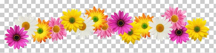 Stock Photography PNG, Clipart, Border, Computer Wallpaper, Depositphotos, Document, Flower Free PNG Download