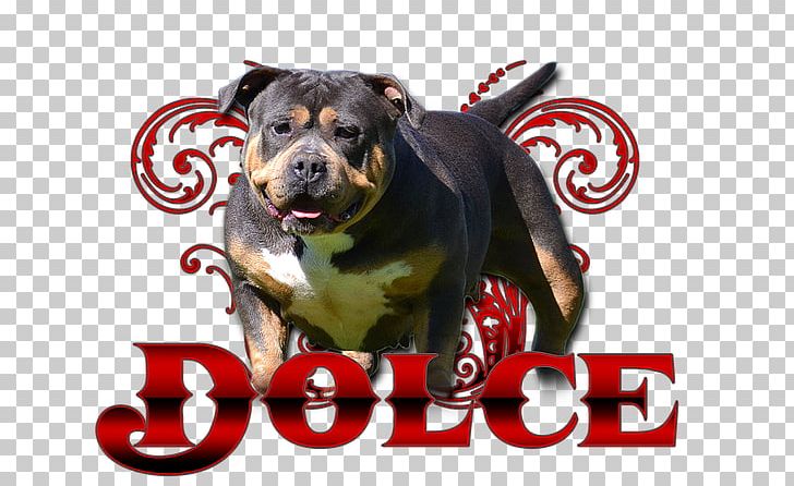 Dog Breed American Pit Bull Terrier American Bully Puppy PNG, Clipart, American, American Bully, American Pit Bull Terrier, Animals, Breed Free PNG Download