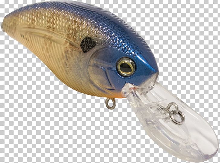 Fishing Baits & Lures PNG, Clipart, Animals, Bait, Diver, Dmc, Fish Free PNG Download