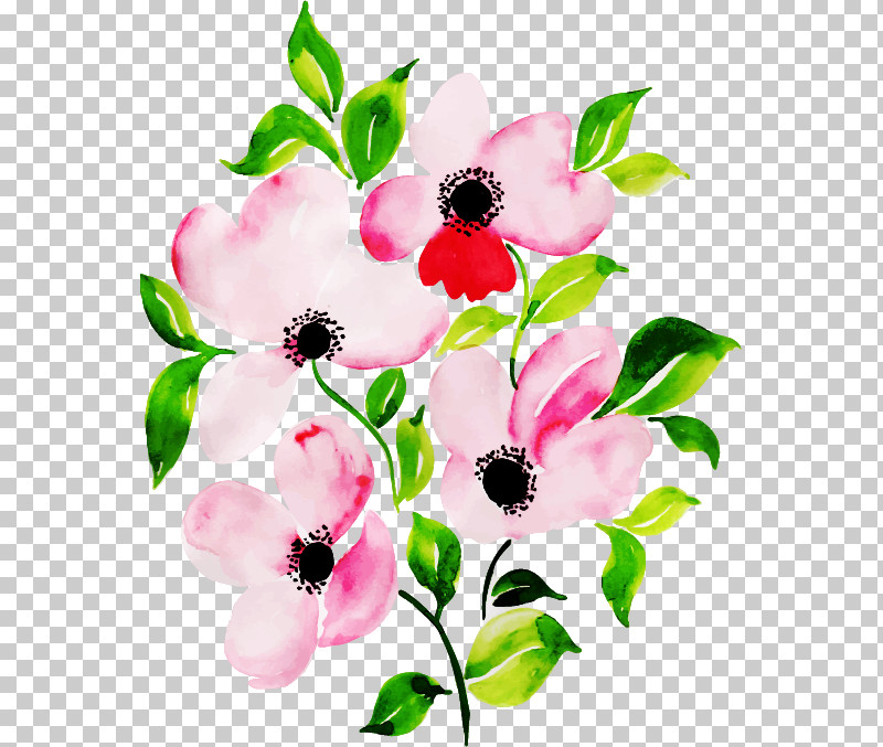 Flower Petal Pink Plant Branch PNG, Clipart, Anemone, Blossom, Branch, Cut Flowers, Flower Free PNG Download