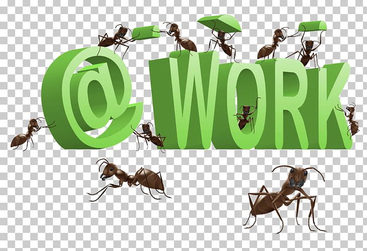 Ants At Work PNG, Clipart, Ant, Ant Nest, Cartoon, Computer Wallpaper, Farm Free PNG Download