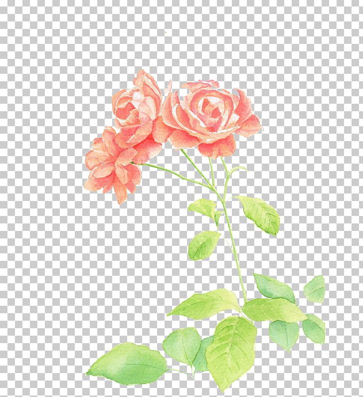 Garden Roses Watercolor Painting Illustration PNG, Clipart, Artificial Flower, Cartoon, Creative, Cut Flowers, Design Free PNG Download