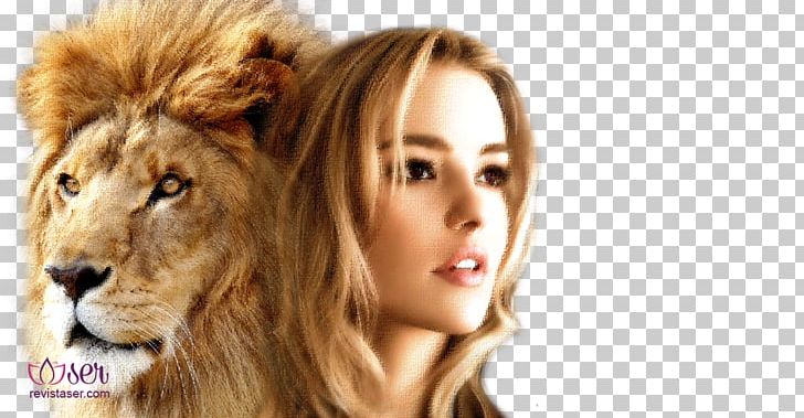 Lion Cougar Big Cat Desktop IMac PNG, Clipart, Animals, Apple, Big Cat, Big Cats, Carnivoran Free PNG Download