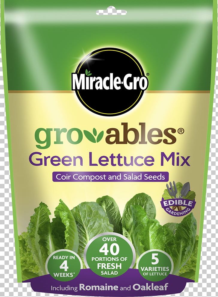 Romaine Lettuce Miracle-Gro Salad Herb PNG, Clipart, Cherry Tomato, Food, Fruit, Garden, Grass Free PNG Download