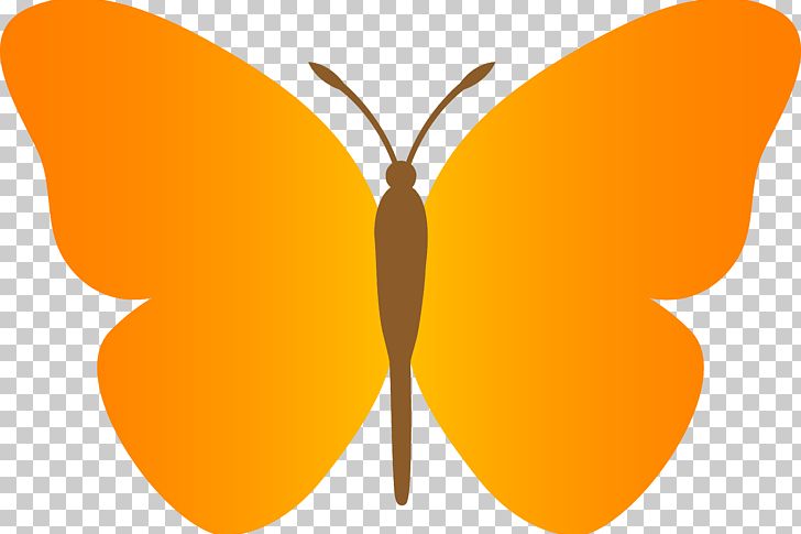 Butterfly PNG, Clipart, Animation, Arthropod, Blog, Brush Footed Butterfly, Butterfly Free PNG Download