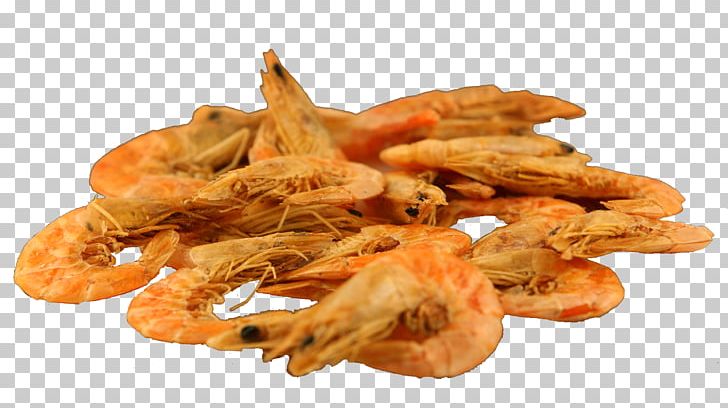 Caridea Fried Shrimp Prawns Frying PNG, Clipart, Animals, Animal Source Foods, Caridea, Caridean Shrimp, Deep Frying Free PNG Download