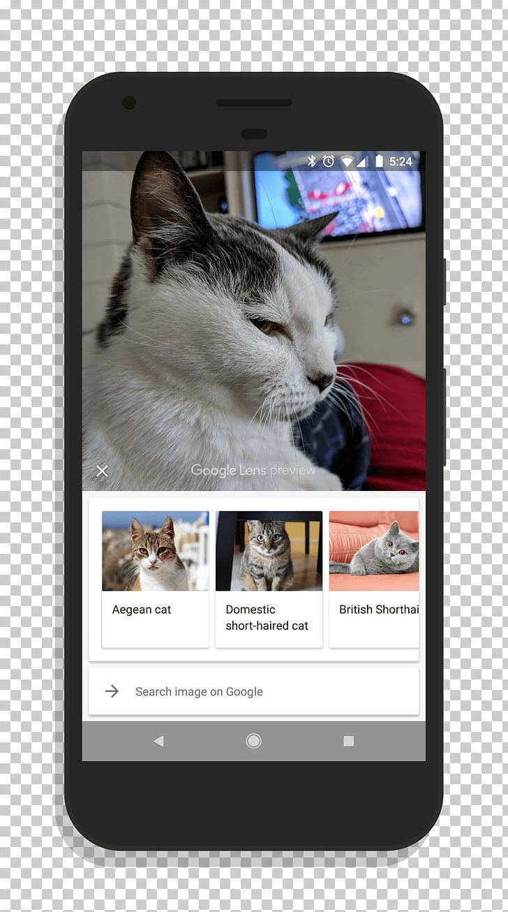 Smartphone Google Lens Google Camera Google Pixel PNG, Clipart, Business, Cat, Cat Like Mammal, Domestic Shorthaired Cat, Electronic Device Free PNG Download