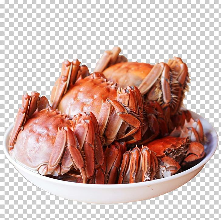 Crab Meat Yangcheng Lake Seafood PNG, Clipart, Animals, Animal Source Foods, Cartoon Crab, Chesapeake Blue Crab, Chinese Mitten Crab Free PNG Download