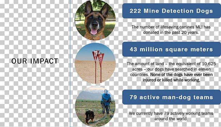 Detection Dog Animal Marshall Legacy Institute PNG, Clipart, Animal, Animals, Detection Dog, Dog, Donation Free PNG Download