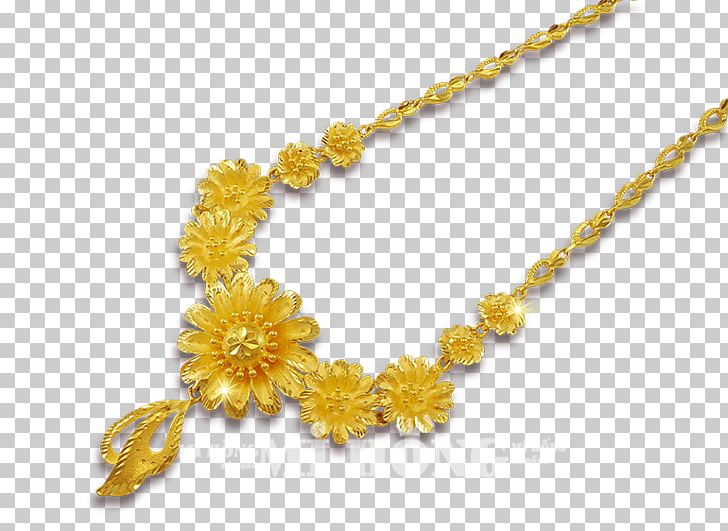 Amber Body Jewellery Necklace PNG, Clipart, Amber, Body Jewellery, Body Jewelry, Chain, Fashion Accessory Free PNG Download