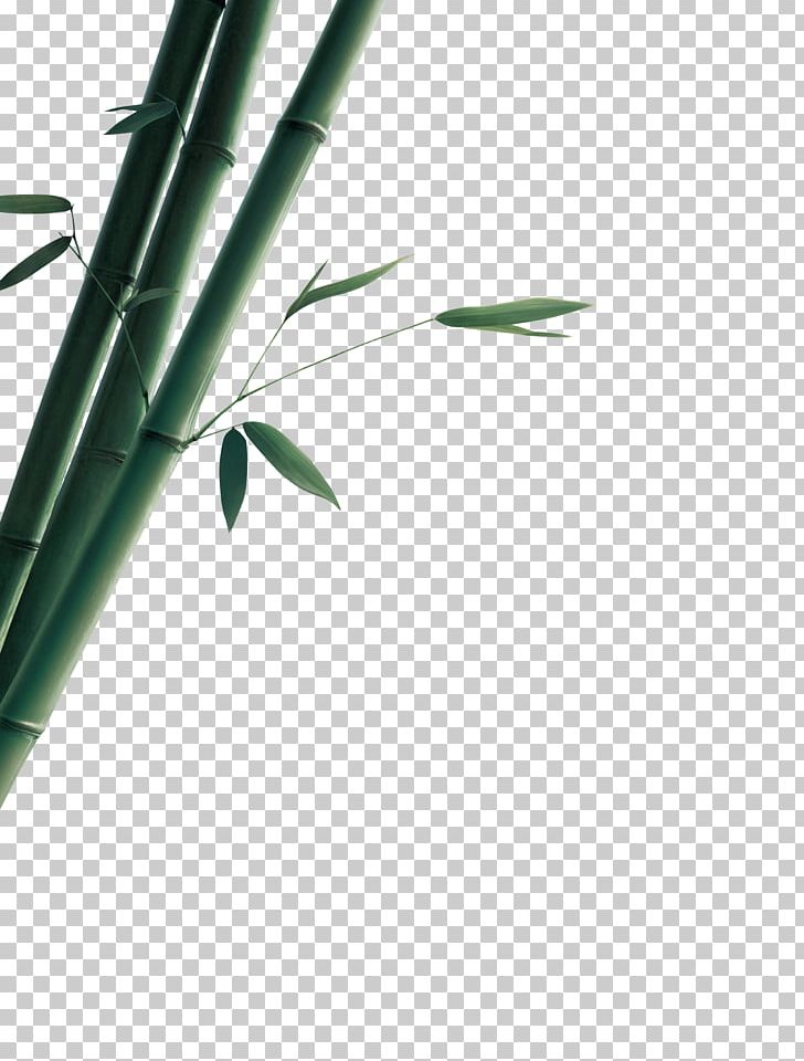 Bamboo Bamboe Gratis Euclidean PNG, Clipart, Angle, Bamboe, Bamboo Border, Bamboo Forest, Bamboo Frame Free PNG Download