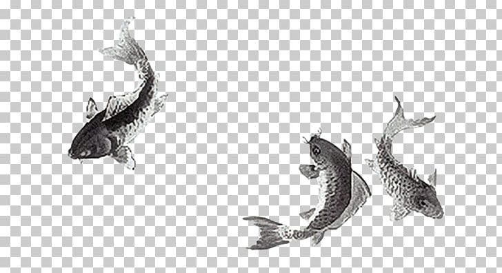 Ink Common Carp Goldfish PNG, Clipart, Artwork, Autumn, Black And White, Common Carp, Download Free PNG Download