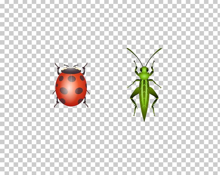 Ladybird Beetle Butterfly Illustration PNG, Clipart, Animal, Animals, Arthropod, Beetle, Butterfly Free PNG Download