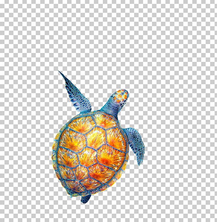 Sea Turtle Drawing PNG, Clipart, Animal, Animals, Aquatic Animal, Box Turtle, Creatures Free PNG Download