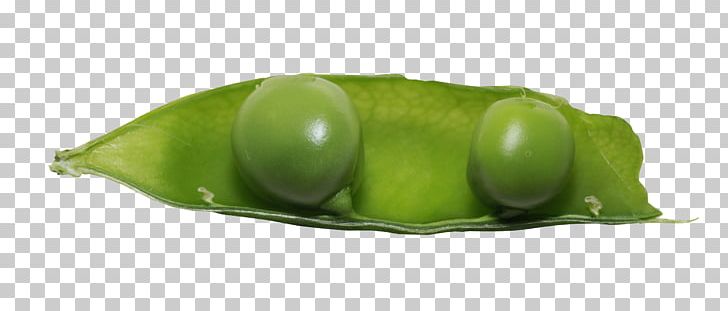 Snow Pea Green Bean Vegetable PNG, Clipart, Bean, Beans, Common Bean, Download, Food Free PNG Download