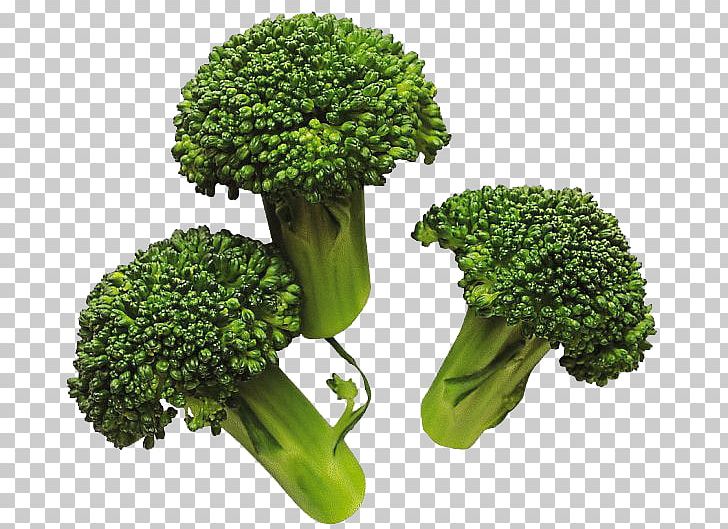 Broccoli Vegetable Cabbage PNG, Clipart, Broccoflower, Broccoli, Cabbage, Cauliflower, Cooking Free PNG Download