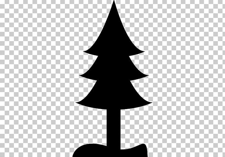 Computer Icons Pine Tree PNG, Clipart, Black And White, Black Pine, Branch, Christmas Decoration, Christmas Ornament Free PNG Download