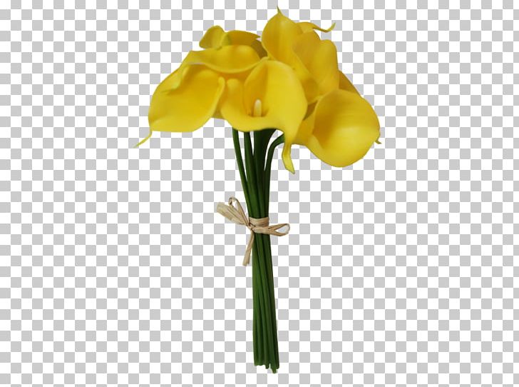 Cut Flowers Bud Plant Stem Flowering Plant PNG, Clipart, Bud, Calla Lilly, Cut Flowers, Flora, Flower Free PNG Download