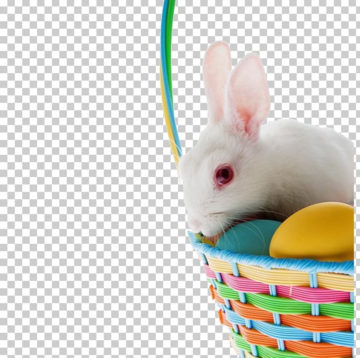 Easter Bunny Domestic Rabbit White PNG, Clipart, Animals, Basket, Black White, Blue, Bunny Free PNG Download