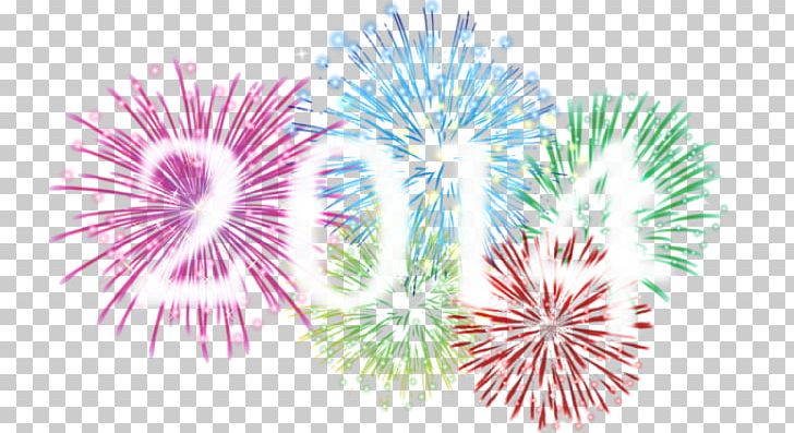 Fireworks New Year Artificier Denain Organism PNG, Clipart, Artificier, Carrefour, Event, Exchange Rate, Fete Free PNG Download