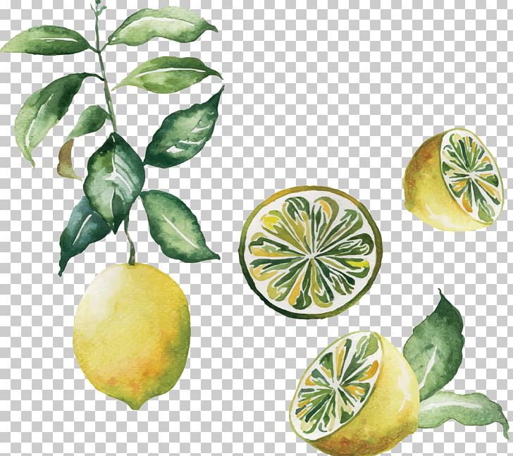 Poster Watercolor Painting Kitchen PNG, Clipart, Amazing Nature, Cartoon, Citrus, Food, Fruit Free PNG Download